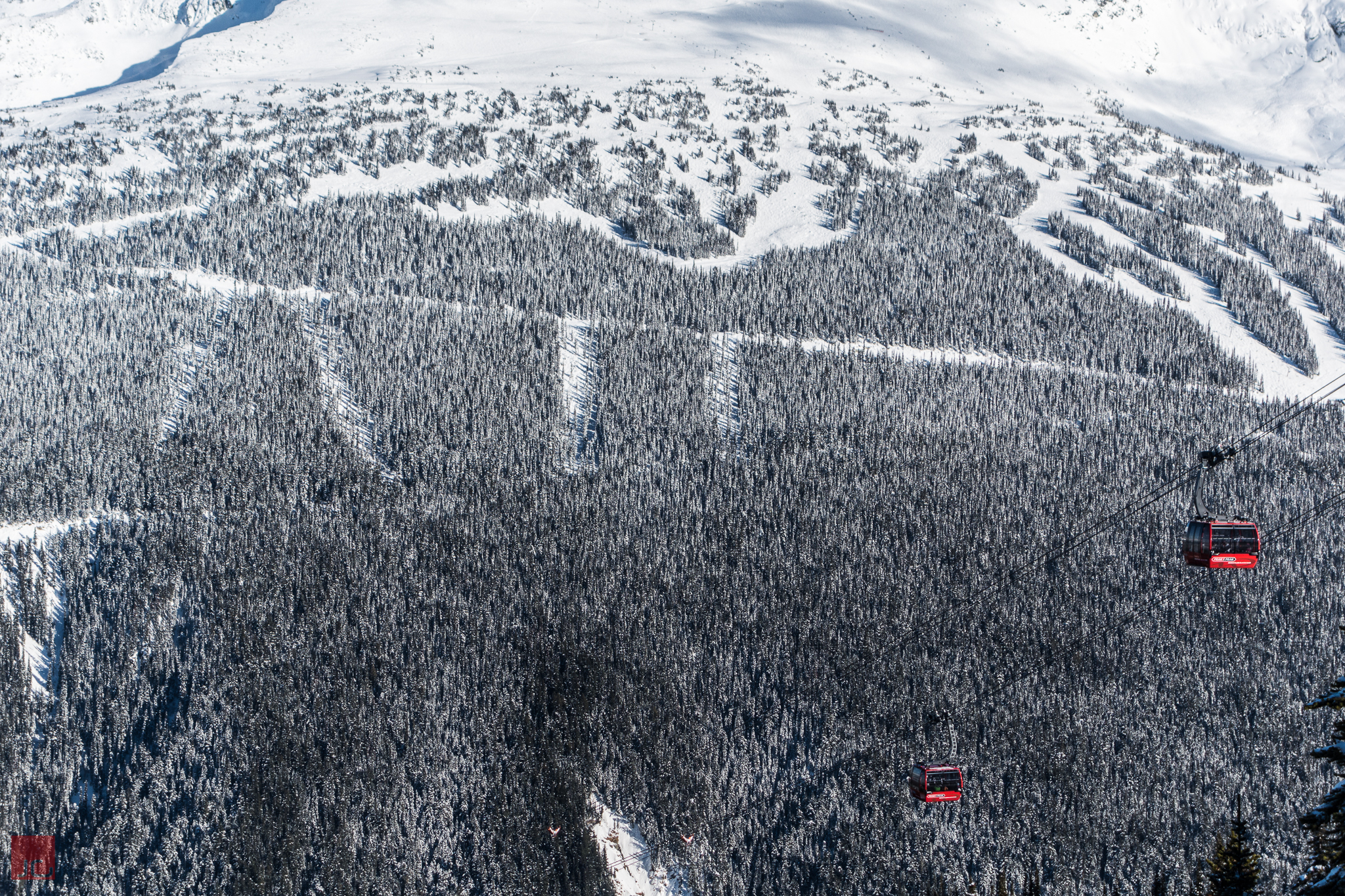 Looking towards Blackcomb