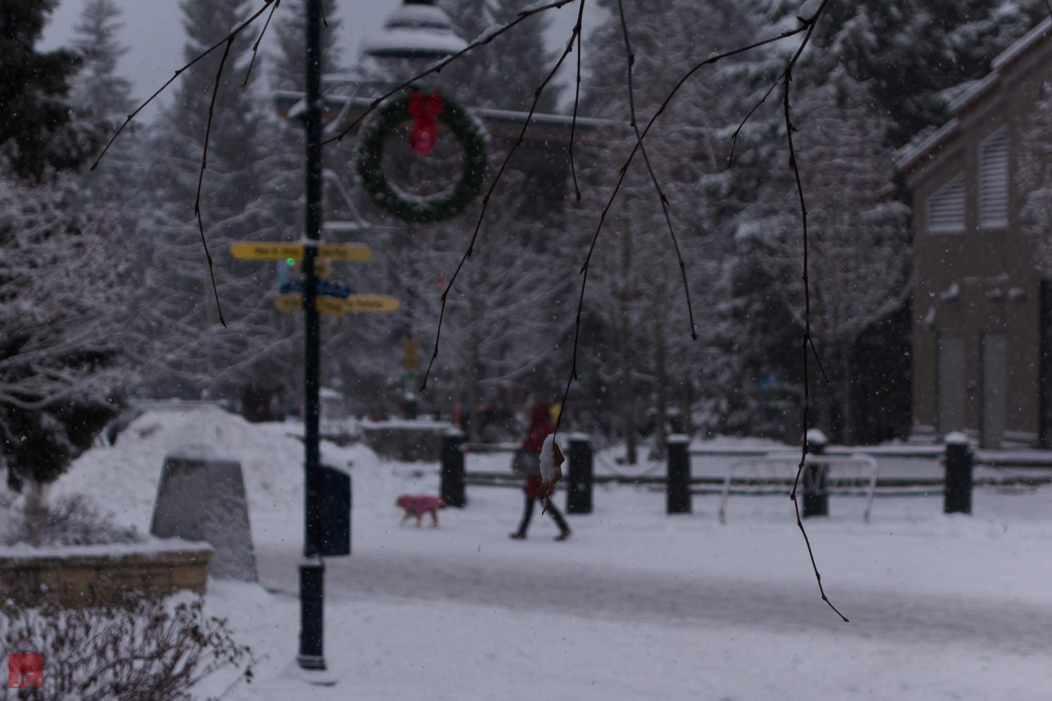 Whistler Village Stroll